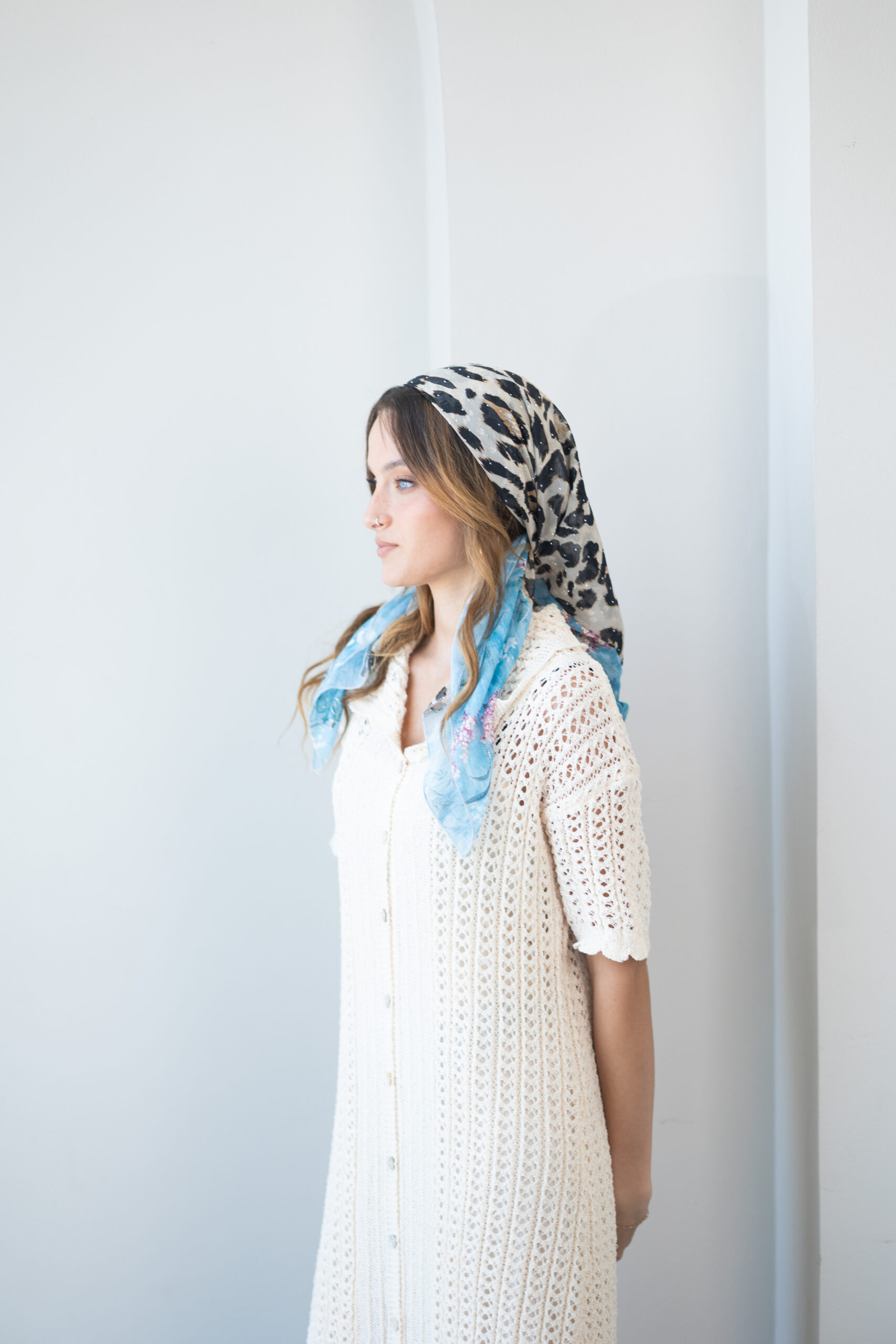 דגם אלבה – תמונה 5