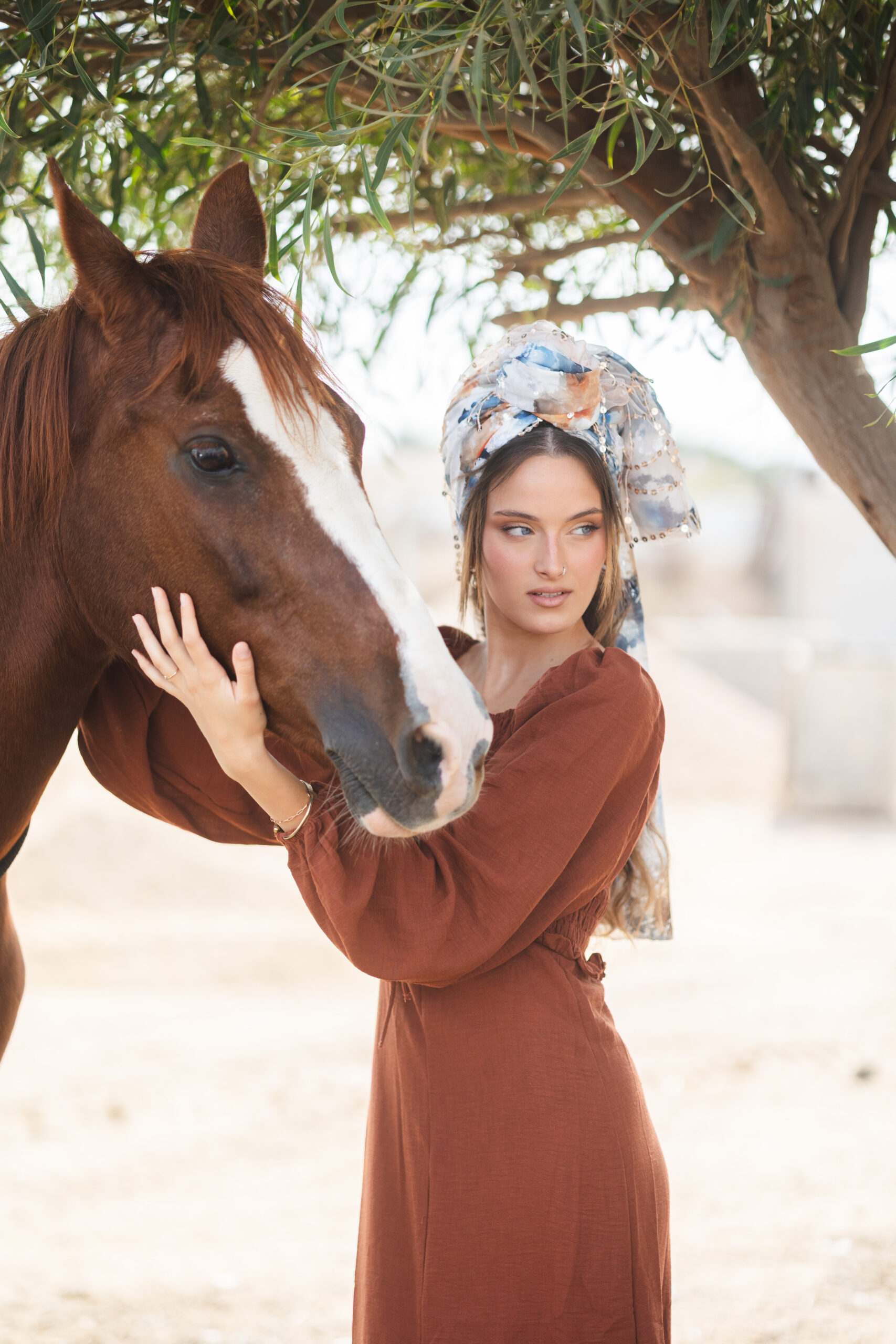 דגם הייז – תמונה 3