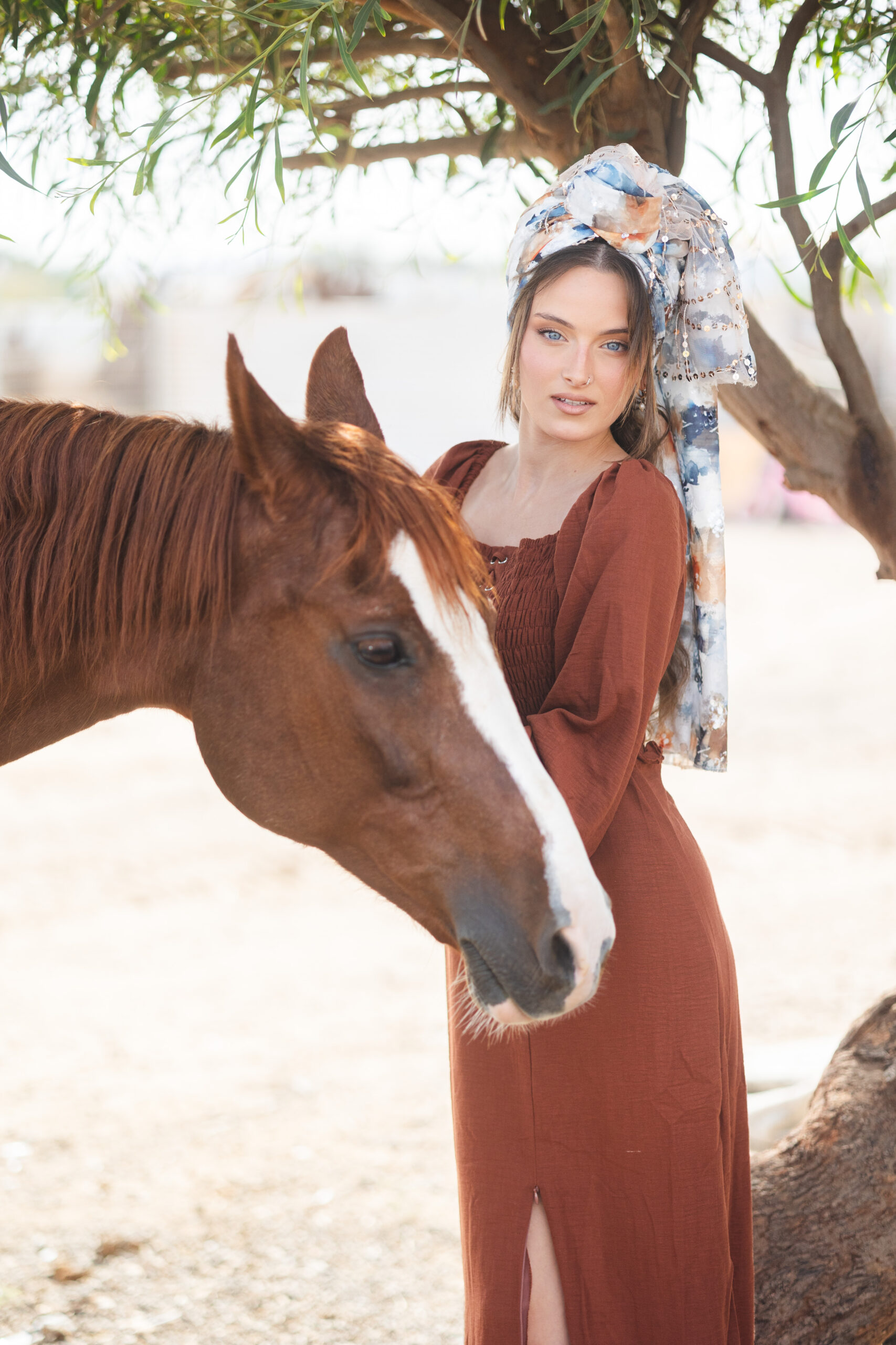 דגם הייז – תמונה 5