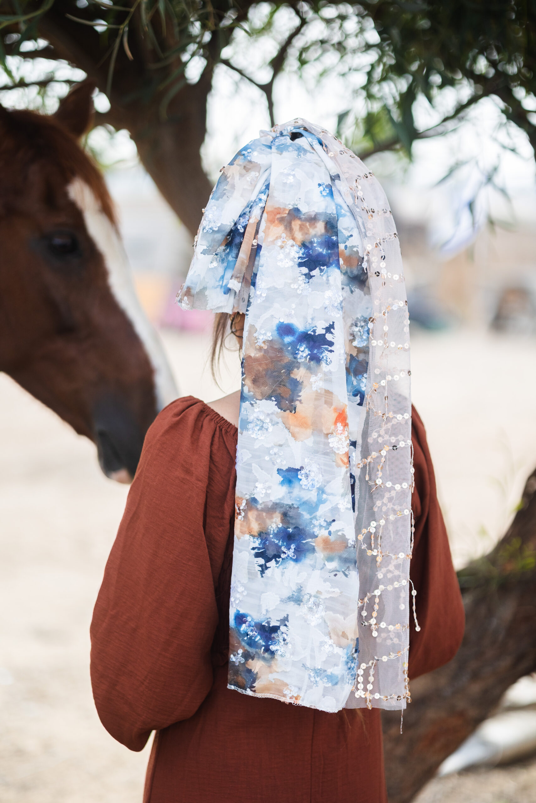 דגם הייז – תמונה 2