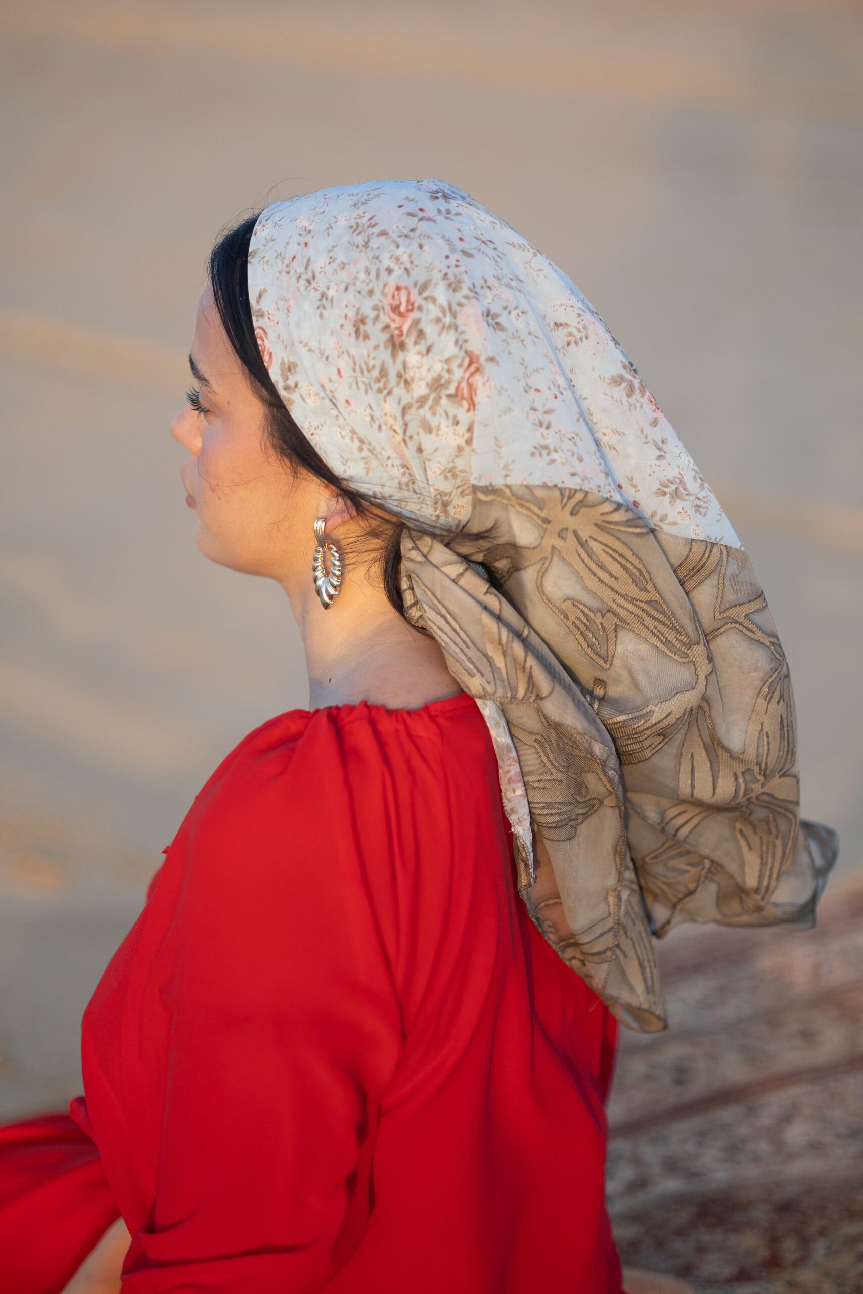 בנדנת בריזיט – תמונה 5