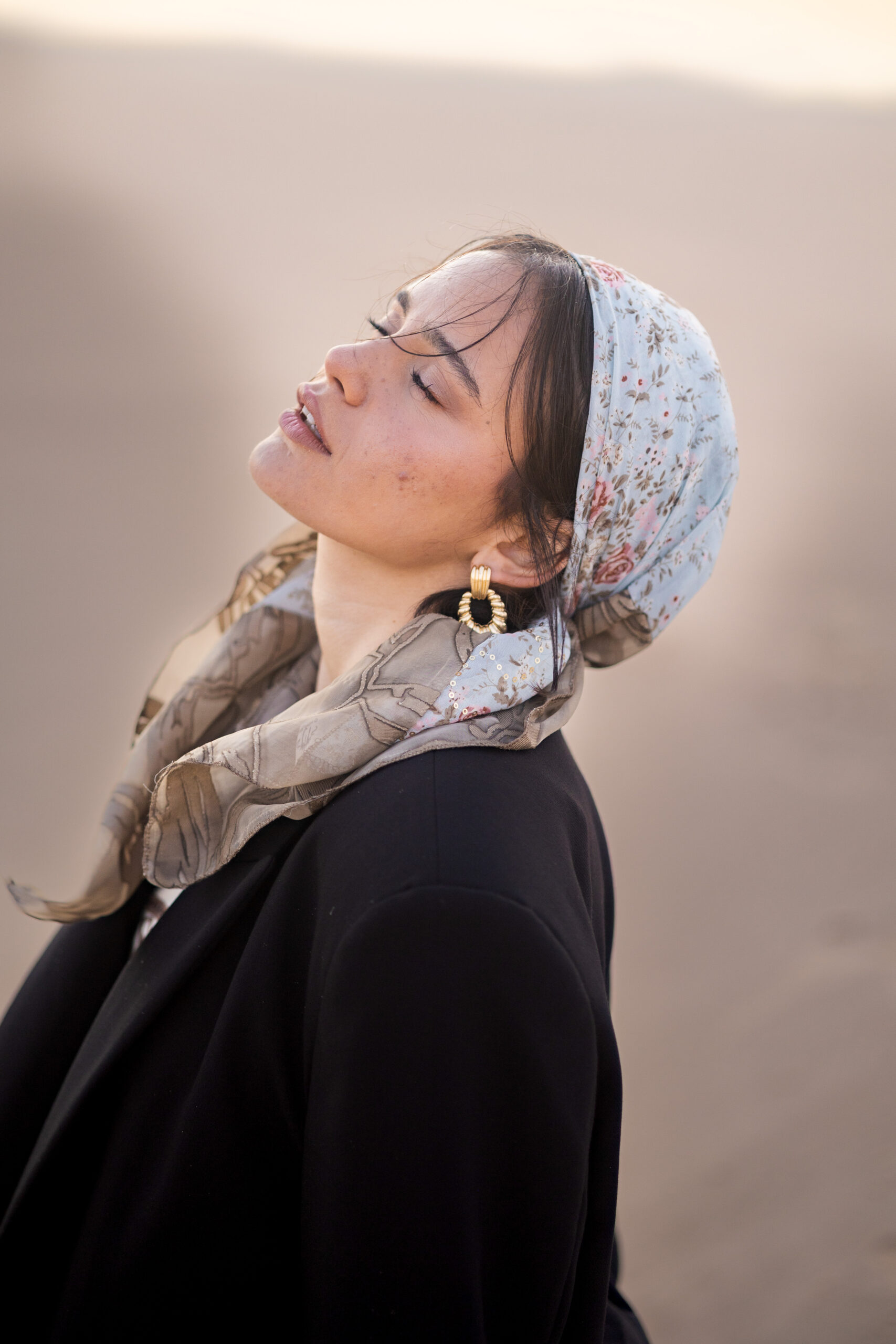 בנדנת בריזיט – תמונה 12